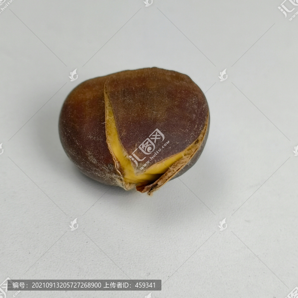 裂口板栗