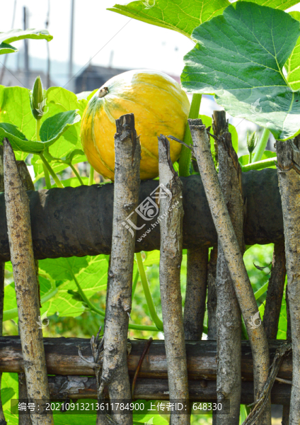 木柵欄