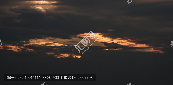 夕陽下的田野