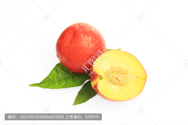 黃肉油桃