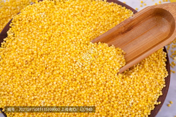 黃小米