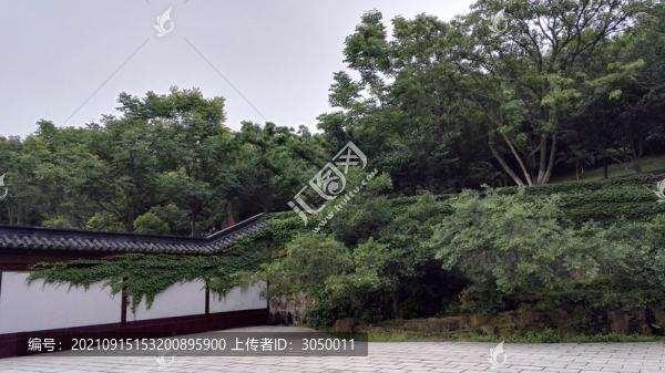 園林一角