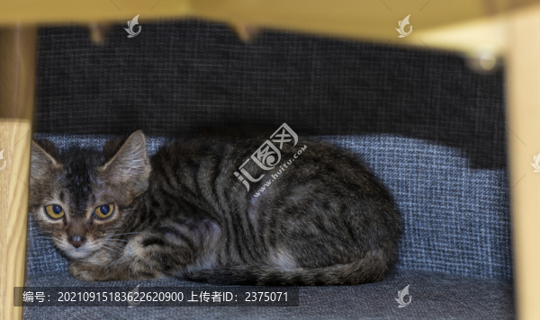 躲藏