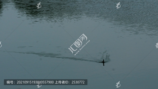 秋水微瀾