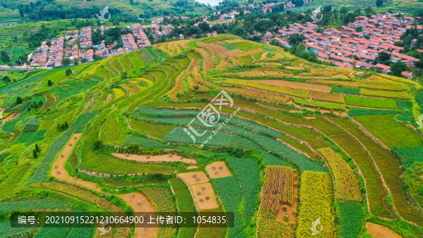 綠色農(nóng)田