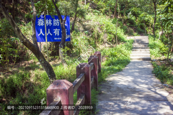登山階梯