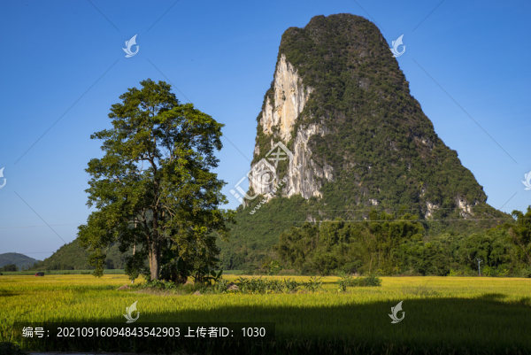 田園風(fēng)景
