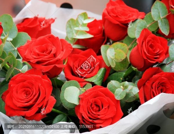 玫瑰花