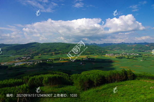 綠色山林