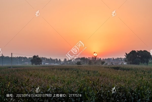 日出