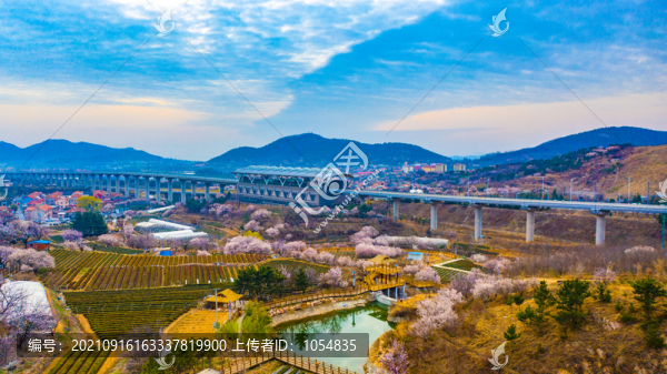 嶗山廟石
