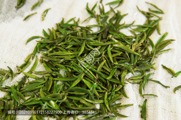 茶葉竹葉青綠茶