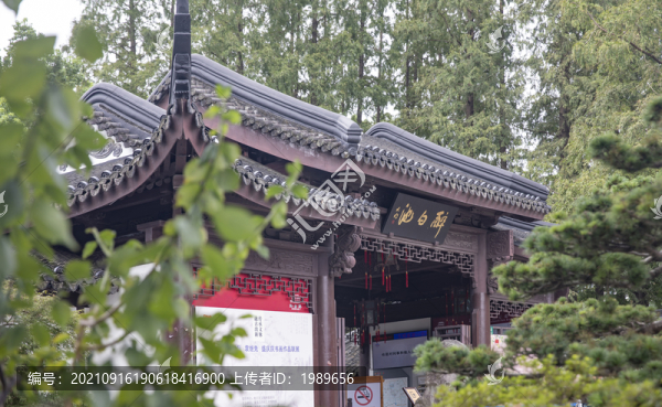 上海醉白池