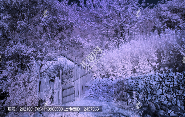 江西婺源紅外風光