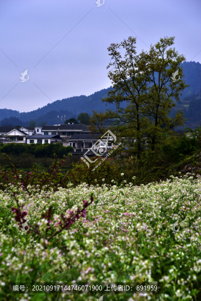貴州烏當(dāng)永樂