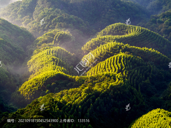 陽光晨霧