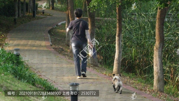 巢湖城市口袋公園之丁崗河公園