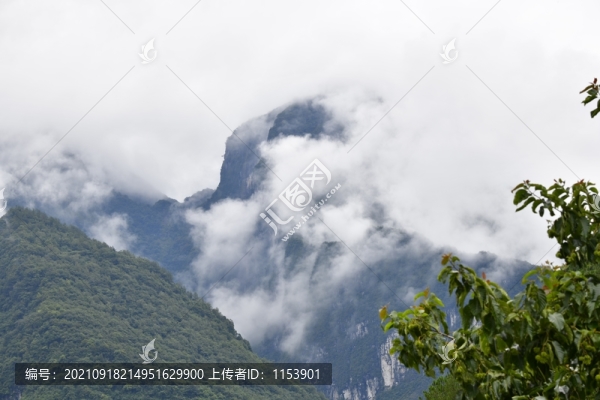 云山霧罩