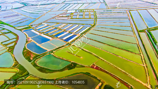 海洋牧場