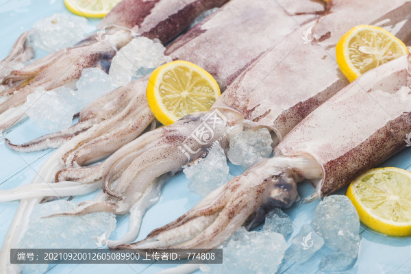 魷魚