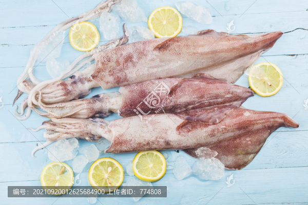 魷魚筒