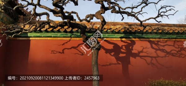紅墻