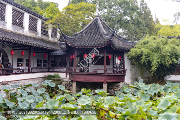 上海醉白池