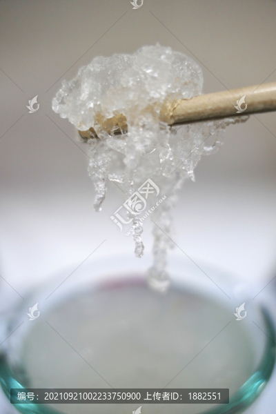 雪燕膠質特寫