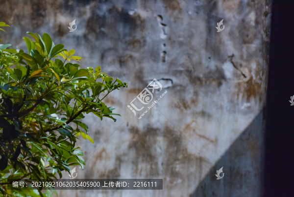 貴州青巖古鎮(zhèn)盆景