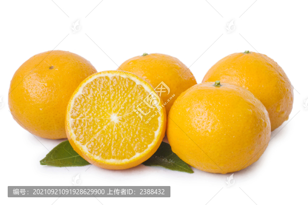 貢柑