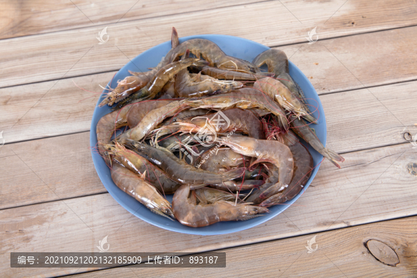一盤新鮮的淡水蝦食材放在桌子上
