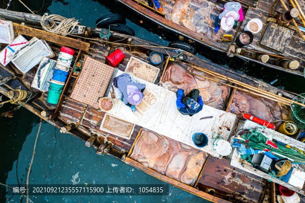 海蜇捕撈船碼頭