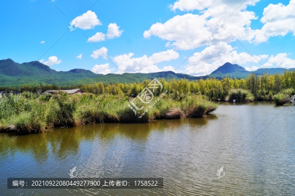 麗江拉市海濕地公園