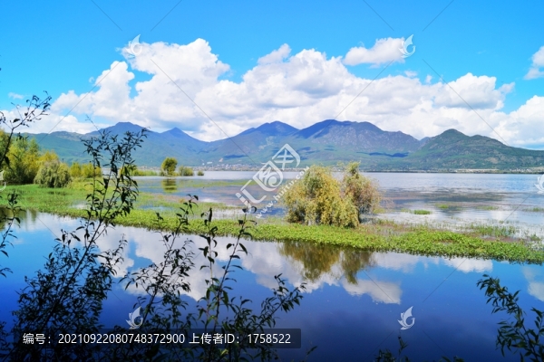 拉市海濕地公園