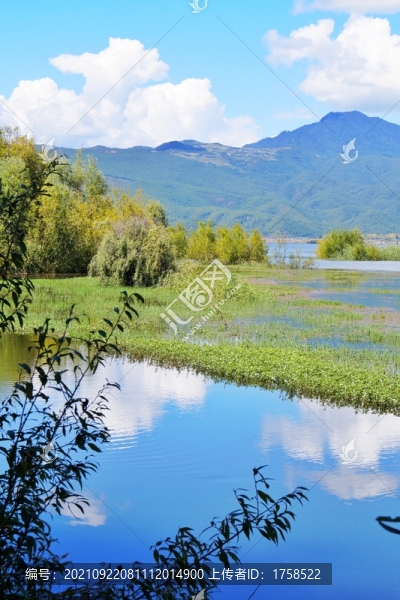 麗江拉市海濕地公園
