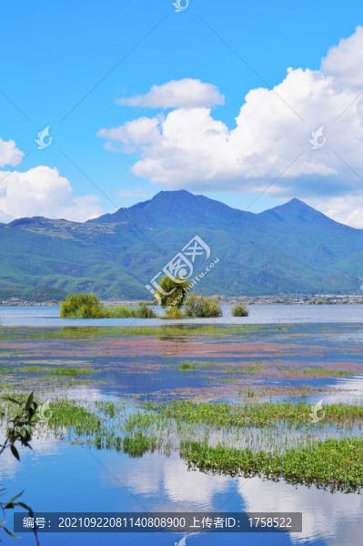 麗江拉市海濕地公園