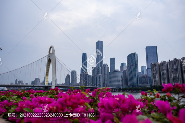 獵德大橋