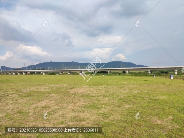 草地