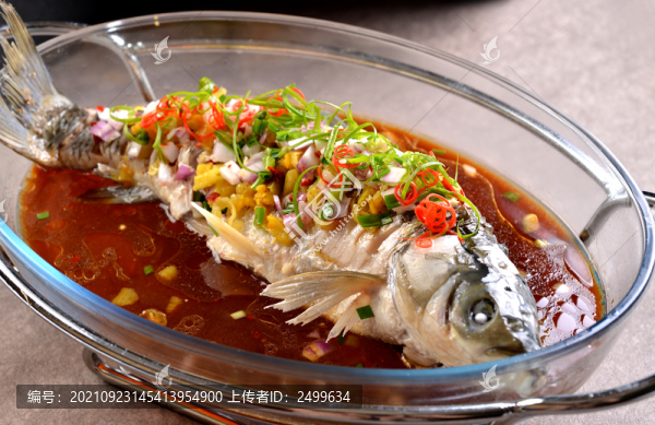跳水魚