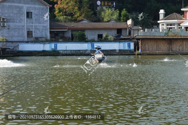 養(yǎng)魚場