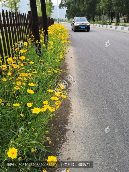 鄉(xiāng)村道路
