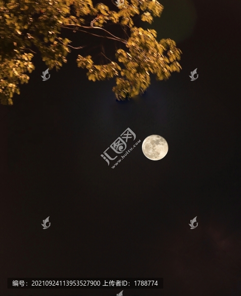月圓