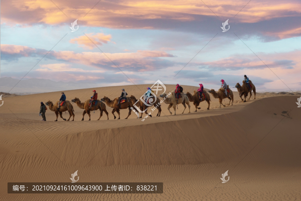 沙漠和駱駝