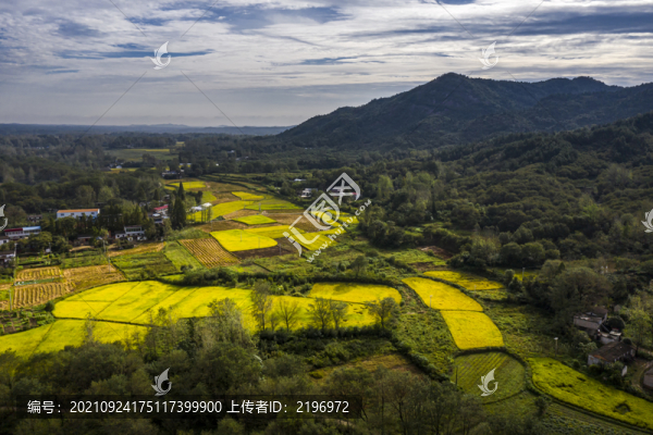 鳥瞰山村秋色