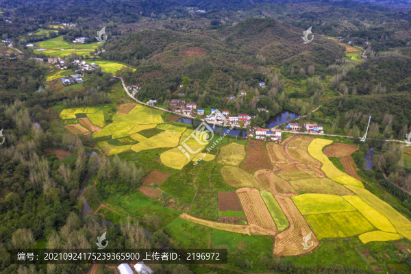 鳥瞰山溝金色田野