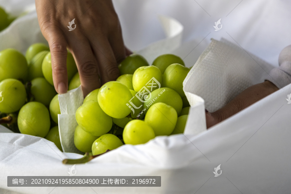 葡萄裝箱攝影圖