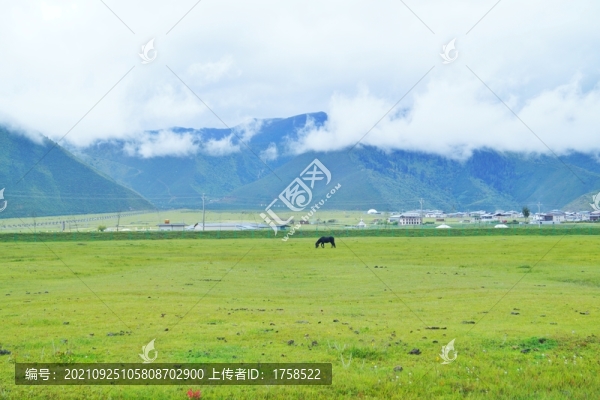 香格里拉大草原