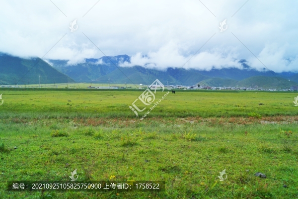 香格里拉大草原