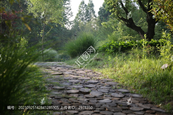 原木小路