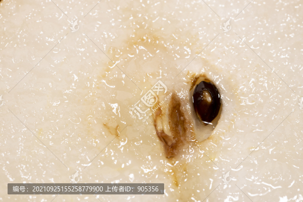 秋月梨